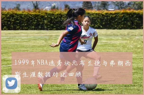 1999年NBA选秀状元布兰德与弗朗西斯生涯数据对比回顾