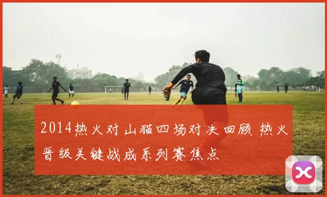 2014热火对山猫四场对决回顾 热火晋级关键战成系列赛焦点