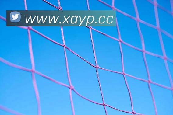 Kaiyun(中国)官方网站 - 体育专属平台平台生态图