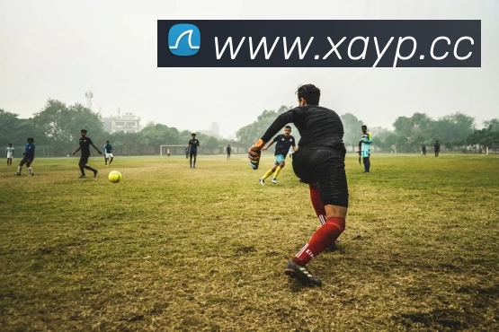 数据防护可视化